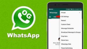 Review Aplikasi OGWhatsApp Versi Terbaru KPP621